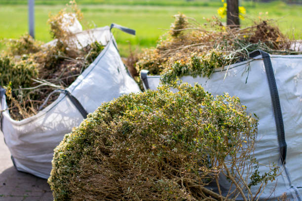 Best Local Junk Hauling  in Le Claire, IA